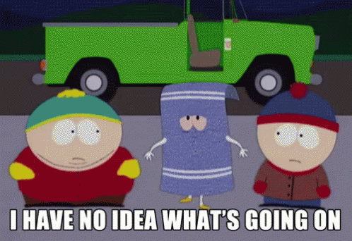 Image result for towelie i have no idea whats going on gif